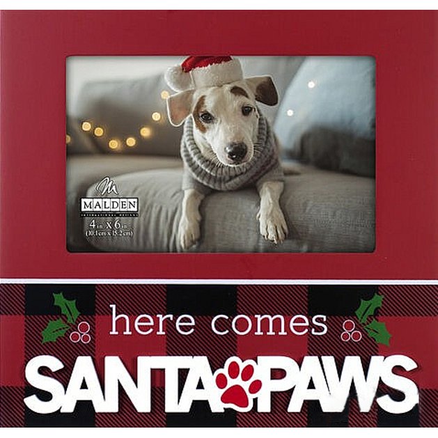 M 80322-46 Santa Paws