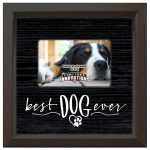 023 Best Dog Ever 4x6 Pet