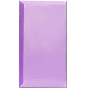CF3 Space Saver Album 3 Up 4x6 (Purple)