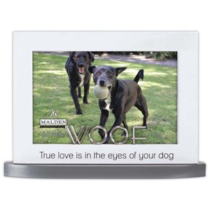 3642-46 Woof Modern Platform 4x6 Pet