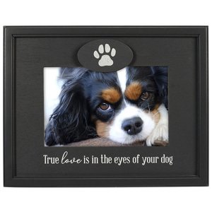 3471-46 True Love Is In The Eyes Of Your Dog 4x6 Pet