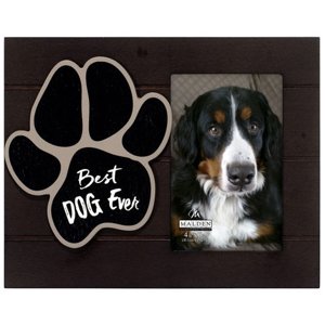 3332-46 Lofty Expressions, Best Dog Ever 4x6