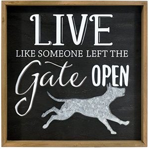 20079-01 Galvanized Metal Accent, Wood Sign, Live Like Someone, 6x6