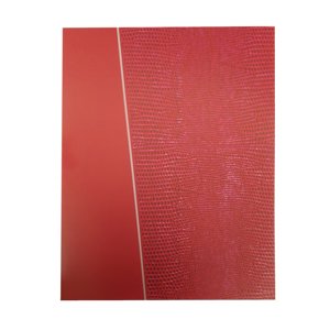 Brag Book 4x6  (Red)