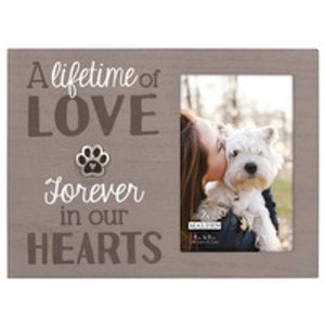 3379-46 A Lifetime Of Love Forever In Our Hearts 4x6 Pet
