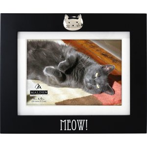 3247-46 Meow! 4x6