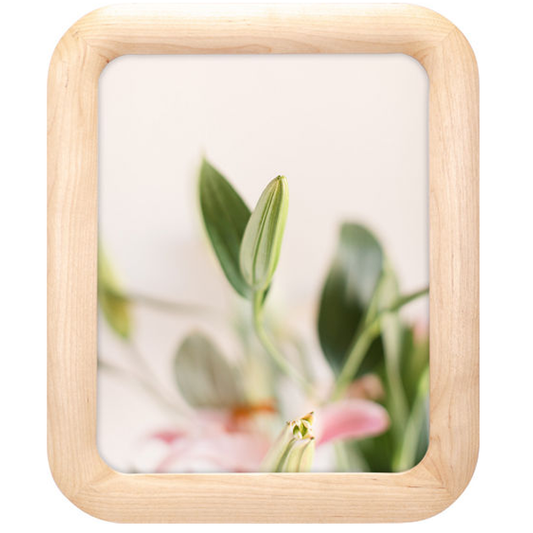 M 1198-80 Curved Birch 8x10