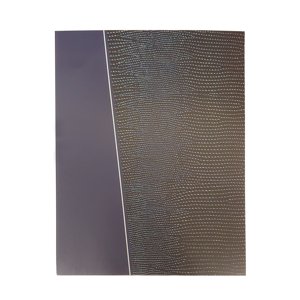 Brag Book 4x6  (Blue)