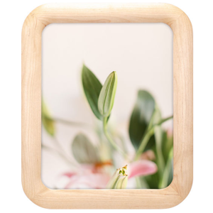 1198-57 5x7 Curved Birch